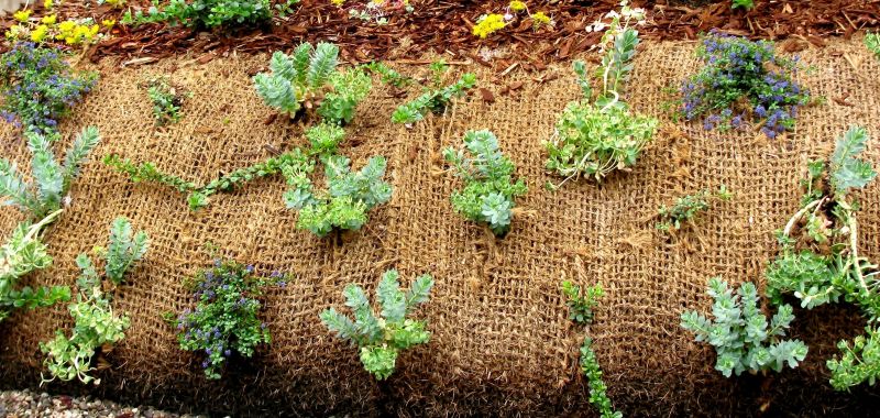 Environmental Considerations