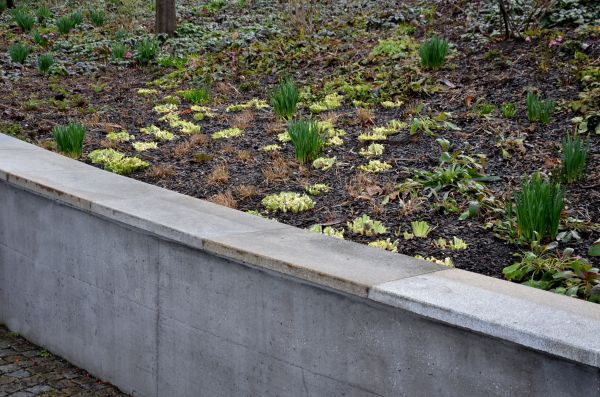 Erosion Control Installation - Erosion Control Installation Spring Branch, Texas