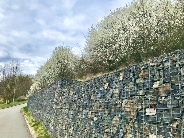 Erosion Remediation Service